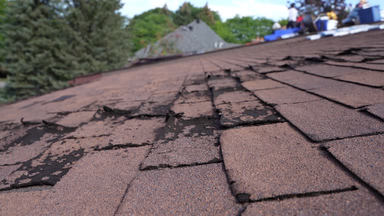 Best Sheet Metal Roofing  in La Crescenta Montrose, CA