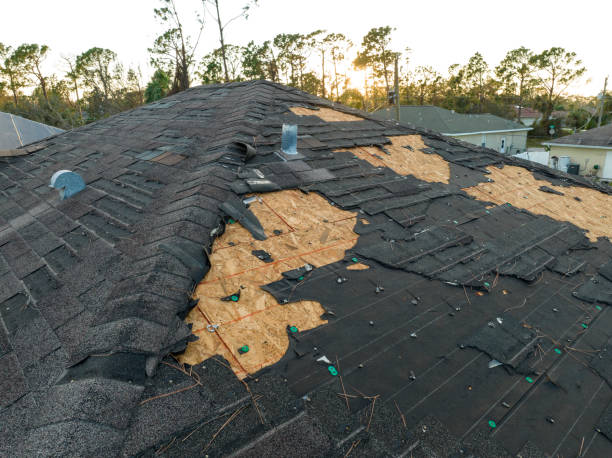Best Gutter Installation and Repair  in La Crescenta Montrose, CA